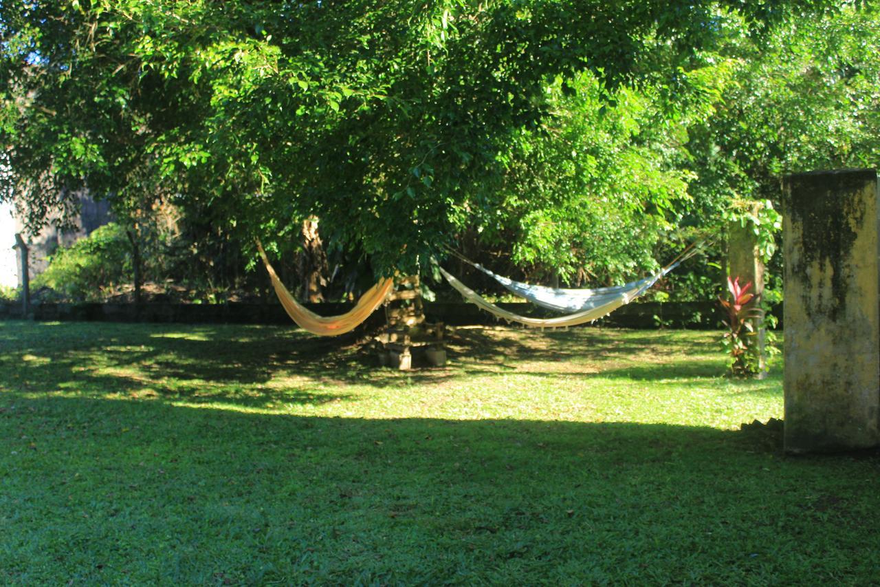 Junglez Eco Hostel Guarau Exteriör bild